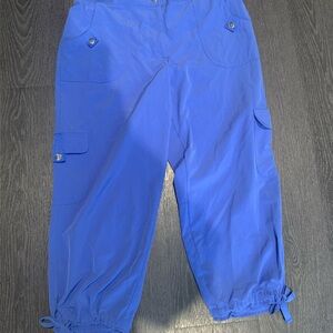 Chico's Blue Ankle Pants
